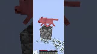 CO BYŚ WYBRAŁ? | #minecraft #shortvideo #viralvideo #video #dc #gaming