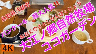 観光28.【大江ノ郷自然牧場ココガーデン】おおえのさとしぜんぼくじょう