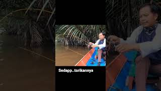 TARIKAN TARGET PARA ANGLER UDANG GALAH   #tarikan #mancing #udanggalahmonster #udanggalah #fishing