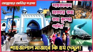 সিলেট শাহজালাল মাজার | দেখুন মাজারের বড় বড় গজার মাছ, কবুতর,কূপের সোনালী মাছ | shahjalal mazar sylhet