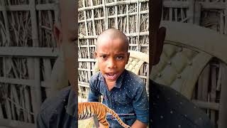 Hinmanshi sab janti hai 😱#shorts #cute_#animals_#viral_video_#youtubevideo_#ssacomedymdp