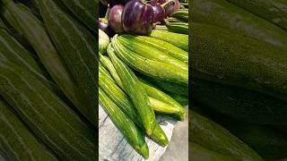 vegetable 🥒🍆 #shorts #youtubeshorts #vegetables