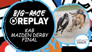 2023 KAB Maiden Derby Final - Drive On Lad | Greyhound Race Replays | 2023 Big Finals