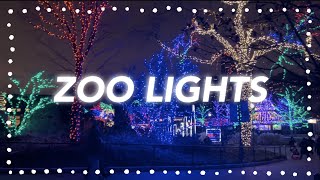 Walking Around a Pretty Zoo Lightshow | 12 Days of Vlogmas