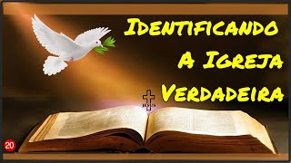 Estudo Bíblico Evangelico -  Identificando A Igreja Verdadeira - Estudo Bíblico Voz Cid Moreira #20