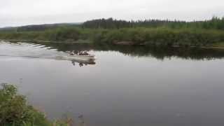 Chaloupe sur la rivière Ruban avec deux pilotes.