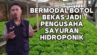 PETANI MUDA SUKSES BUDIDAYA SELADA HIDROPONIK