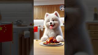 🔥From Sushi to Tacos: Dogs Enjoy the Best Foods from Every Country! 🍣🌮 dog ai, ai stories, ai dog,