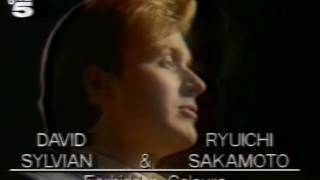 David Sylvian, Ryuichi Sakamoto - Fobidden colours