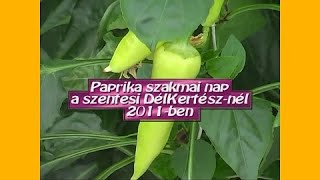 Paprika szakmai nap a szentesi DélKerTésznél, 2011-ben