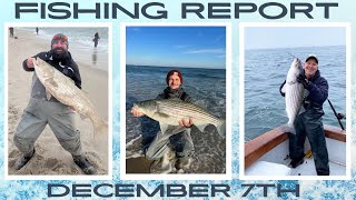 New Jersey Fishing Report December 7th #fishingreport #surffishing