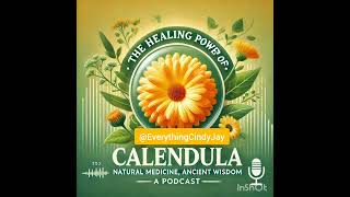 The Healing Power of Calendula: Nature's Potent Medicine