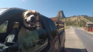 Trip to Devils Tower, Wyoming