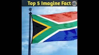 Top 5 Imagine Fact😲|| imagine||Facts 😱|| #shorts #viral #top