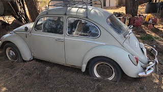 FLASHBACK - Rescue of the Abandoned 1966 Beetle… Sitting since 2006