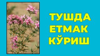 Туш табири - Тушда Етмак куриш