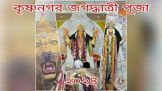 কৃষ্ণনগরের জগদ্ধাত্রী পূজা 2024।#subscribers #indianfestival #durgapuja #hindufestival #jogodetiro