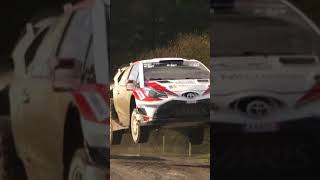 😱😱😱 amazing 😍#shorts #car #rally lover #driving