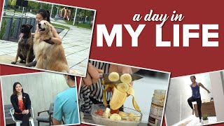 A Day in My Life: My Workplace, Dogs, BTS =) | Joanna Soh