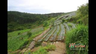 Puncak Cemorosewu - Tawangmangu