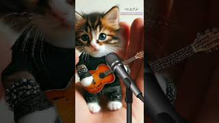 Cute Cat Singing Sholawat Jibril 😿#catsinging  #voiceeffects #kucingbersholawat