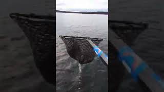 Fall Bass fishing Lake Champlain. October 2019