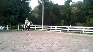 9.16.2011 - First Trot Fence