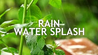 Heavy Water Splash Sound Effect From Rain in the Garden