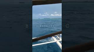 prettiest shade of blue #island #balabac #boat