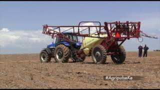 AGRI-PULSE Planting Maize Part 1