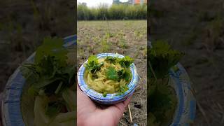 खेत में बनाई maggie🤭😍#trending #shortvideo #shorts #short #foodie #food #village #viralvideo #love