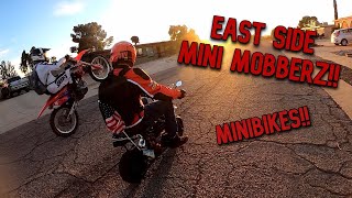 Steady Mobbin On Predator 212 Minibikes!