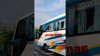 Po garuda mas alugoro mercedes benz o500r 1836 jetbus 3 shd adiputro #busmania #bus #shorts