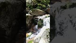 #waterfallsoundwhitenoise #nature #relaxingwaterfallsounds