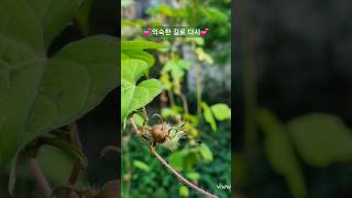 🌿익숙한 이 길🥰, 반가워🌿/여행 후 일상/맨발 걷기 좋은 날 140//앞산 맨발산행루틴