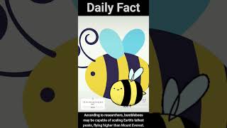 Bee kind #bee #animals #facts