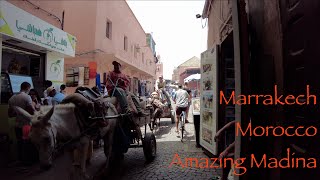 Morocco! Walking through Marrakech, Morocco's Madina. Amazing Energy!  4K