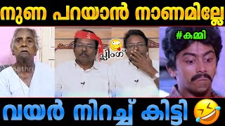 ചാനൽ ചർച്ചയിൽ നാറ്റിച്ച് വിട്ടു! Mariakutty Pension Anil Kumar LDF Troll Malayalam