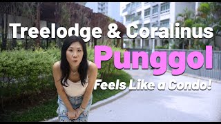 In Depth Analysis on Punggol Ep 3 | Treelodge and Coralinus