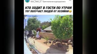 Женщина толкнула медведя