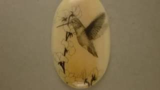 Scrimshaw Showing by Adams - Orca and Hummingbirds