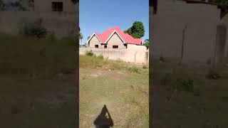 Plot for sale Tsh 12 millions, at Kivule Sokoni Ukonga, Ilala Dar es salaam, plot size 33/20 meters