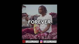 [FREE FOR PROFIT] Playboi Carti Type Beat - "Forever"