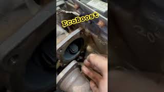 Ford ecoboost rattle 👨🏻‍🔧😂 #mechancial #car #mechanic #ford #ecoboost