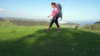 Day 24 - Great Ocean Road Health Virtual Hike -  Johanna Beach to Malinesia Track