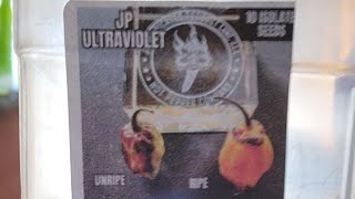 Jp Ultraviolet Review