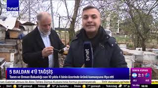 5 BALDAN 4'Ü TAĞŞİŞ