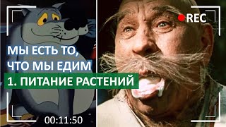 Мы есть то, что мы едим. Серия 1. Питание растений