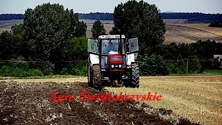 Prace pożniwne 2016 czyli obornik, podorywka i gruberowanie | ZETOR 16245 ZETOR 7211 URSUS C330 |