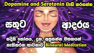 මිනිත්තු 20 න්,ඔබේ හිතේ සතුට ආදරය කරැණාව වැඩිකරගන්න, හිත පාලනය කර දුක නැති කරන Binaural meditation